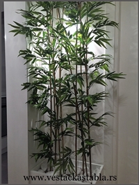 Vestacka Stabla bambus