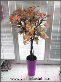 Vestako drvece, Javor