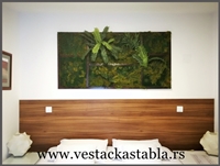 Vestacka stabla Bambus 220cm
