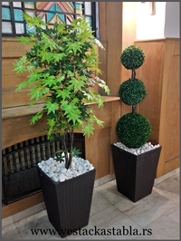 Vestacka Stabla vojna ustanova