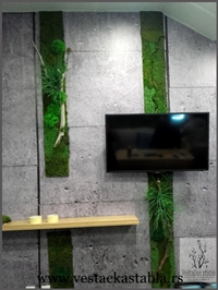 Vestacko Stablo mango 150cm