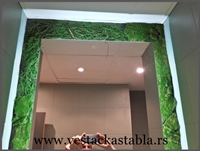 Vestacka stabla Palma