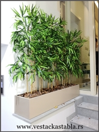 vestacka stabla