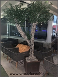 Vestacka Stabla vojna ustanova