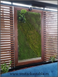 Vestacko Stablo mango 150cm